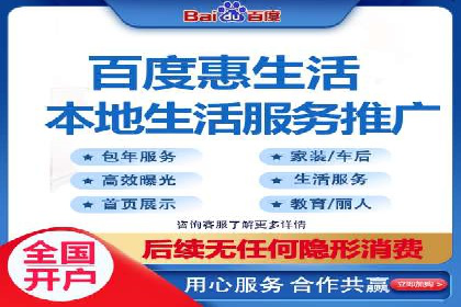 百度竞价排名机制：成功案例与策略探讨